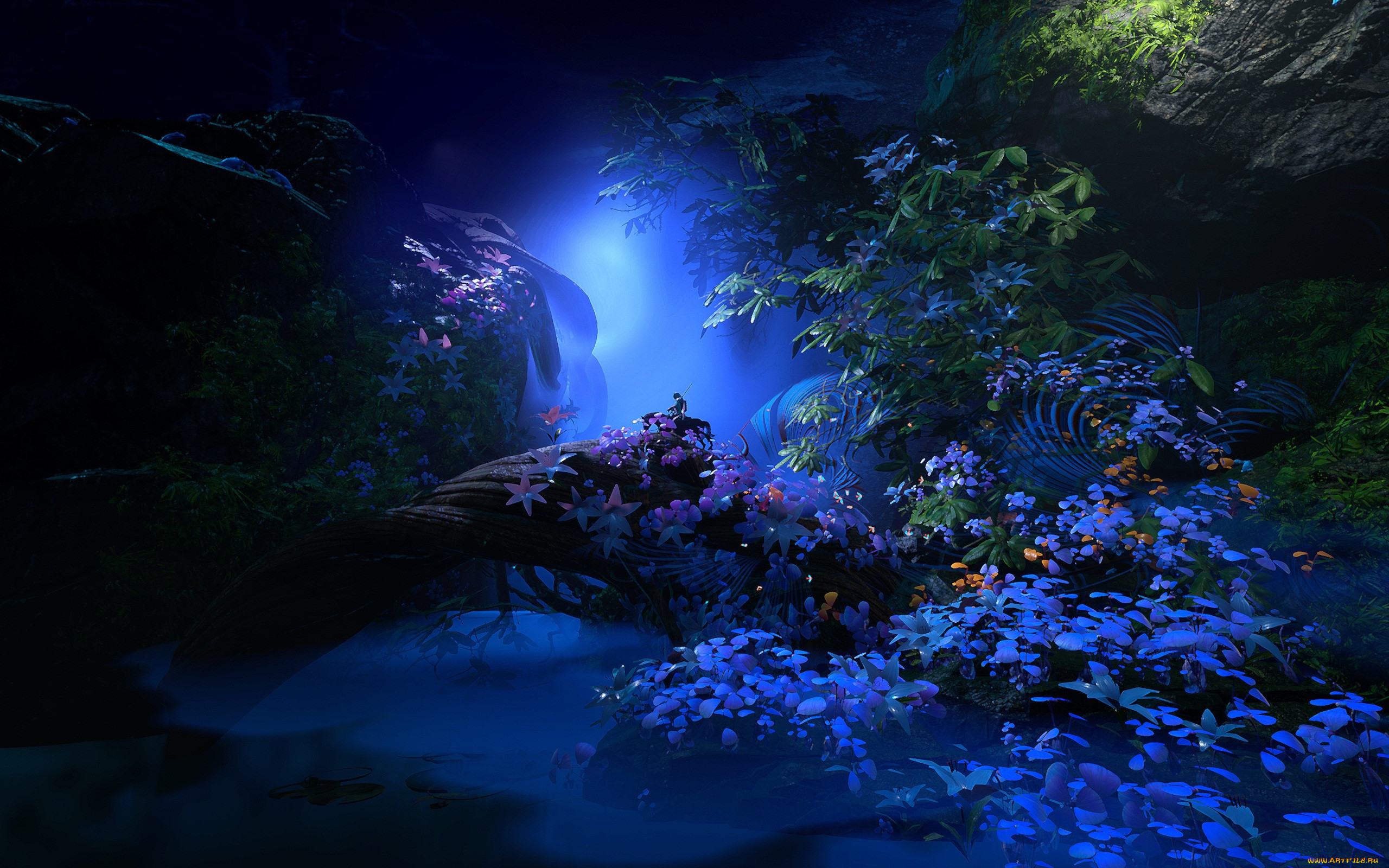 3 ,  , nature, 